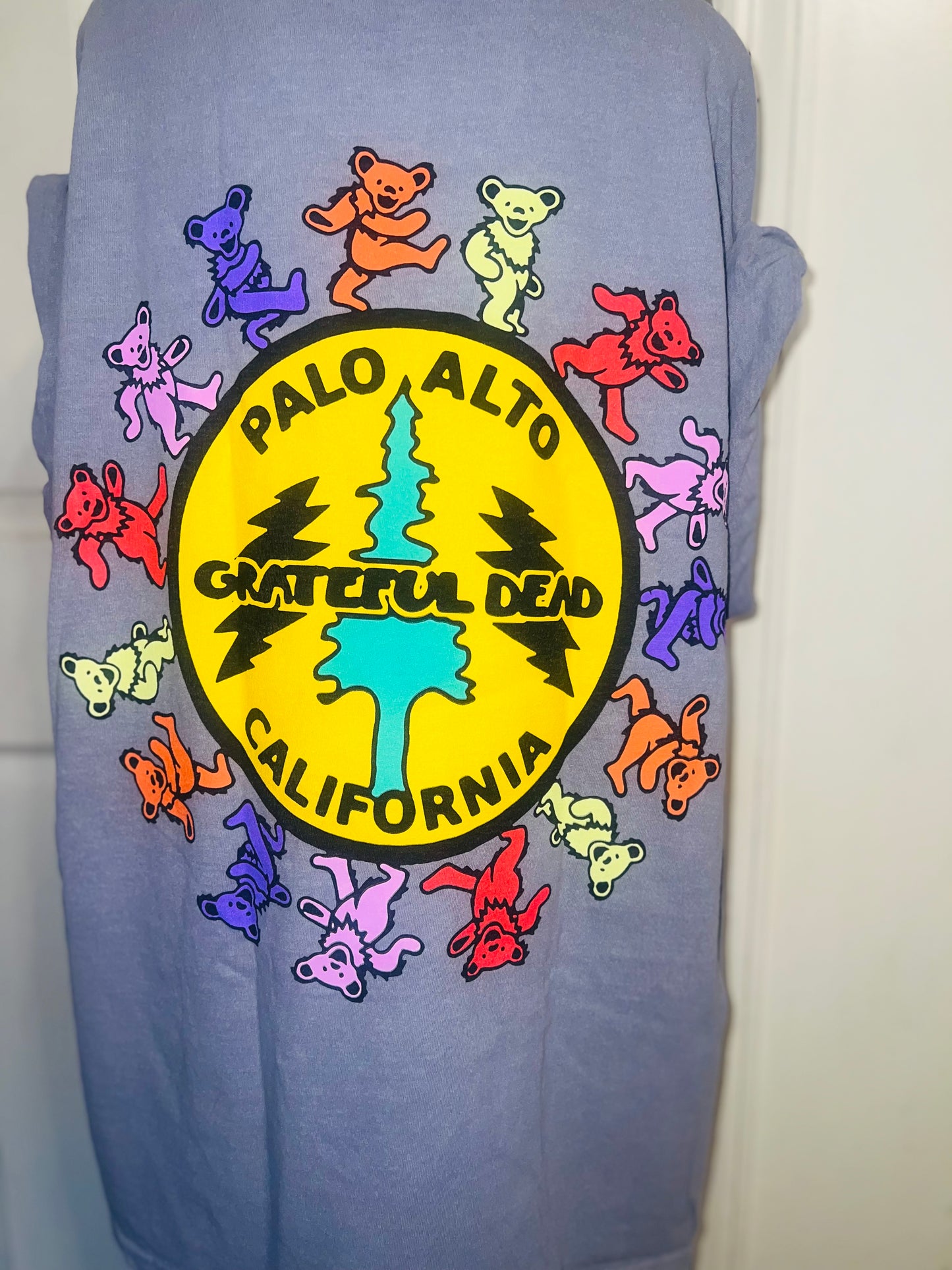 Grateful Dead Double Sided Oversized Tee