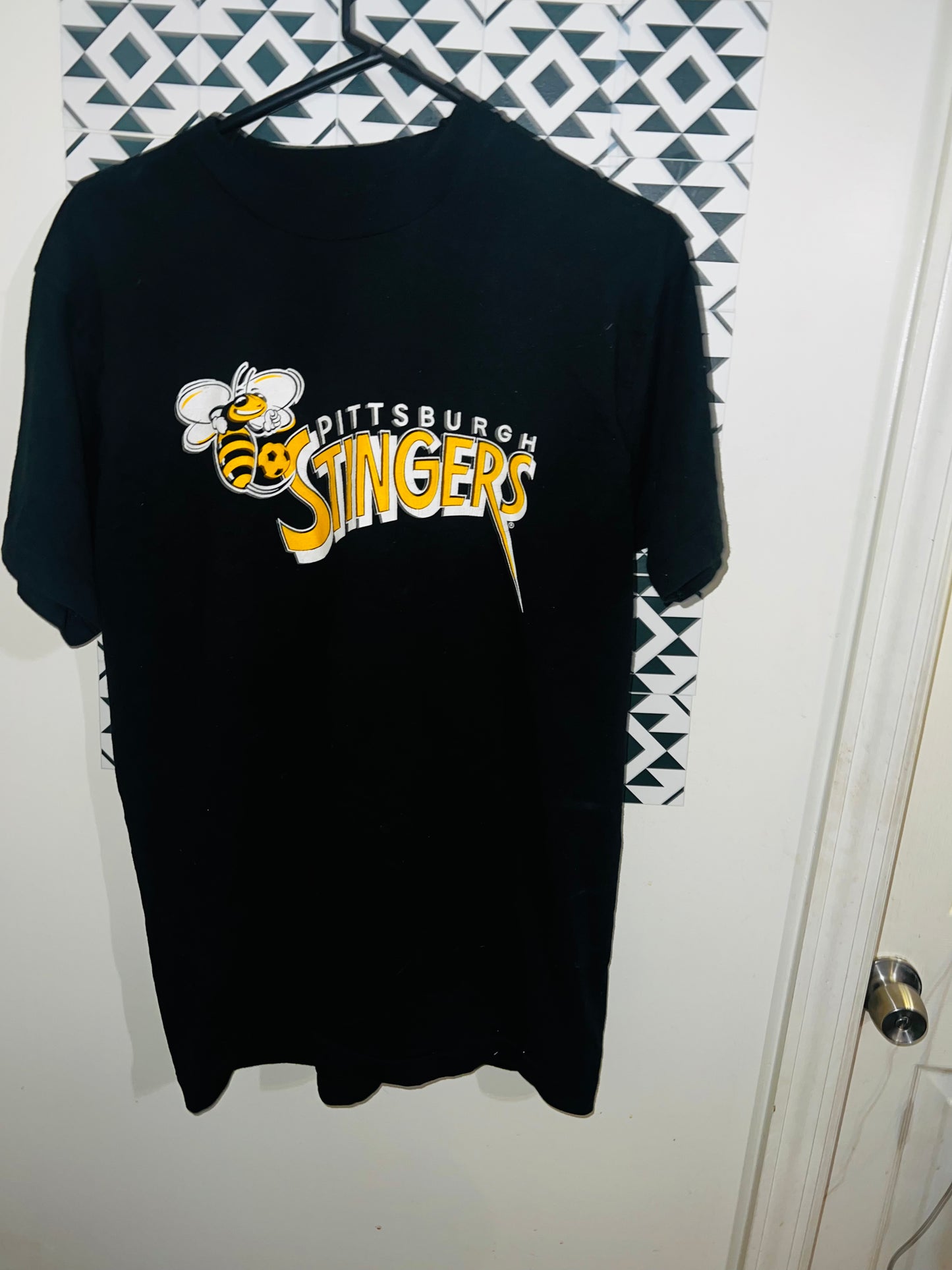 Vintage 94-95 Pittsburgh Stingers Soccer Oversized Distressed Tee