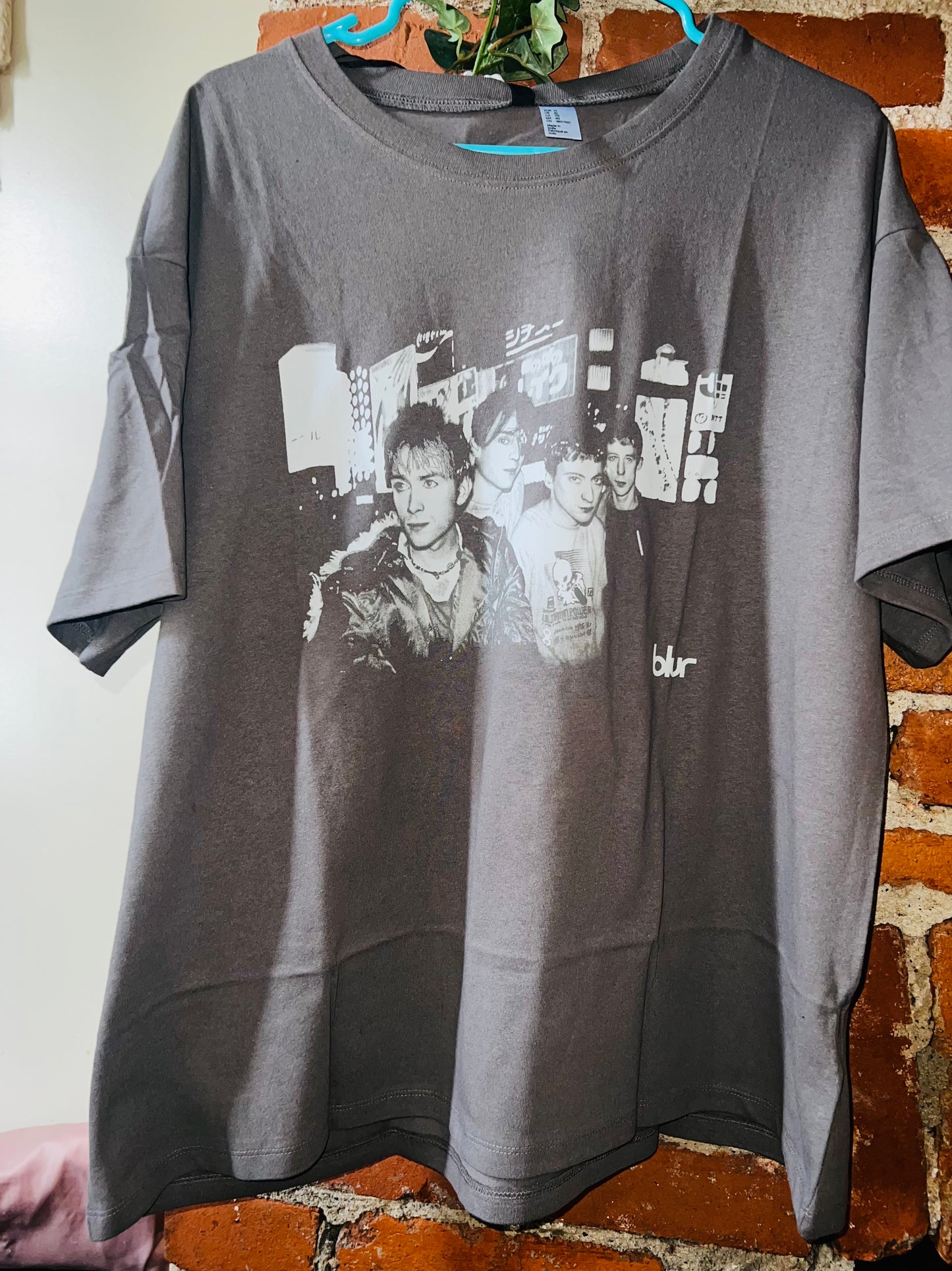 Bleached Blur Oversized Distressed Tee