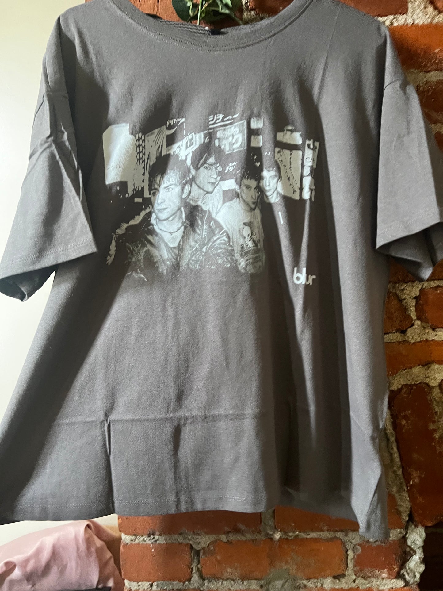 Bleached Blur Oversized Distressed Tee