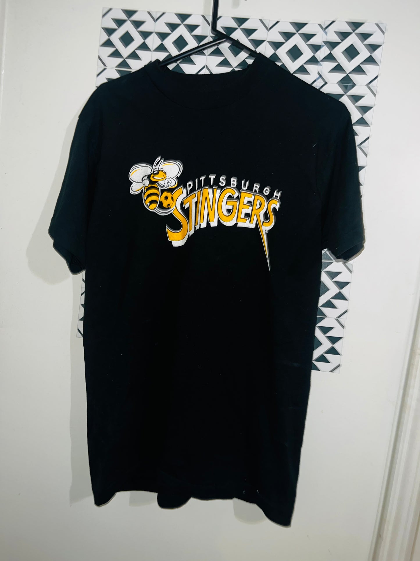 Vintage 94-95 Pittsburgh Stingers Soccer Oversized Distressed Tee