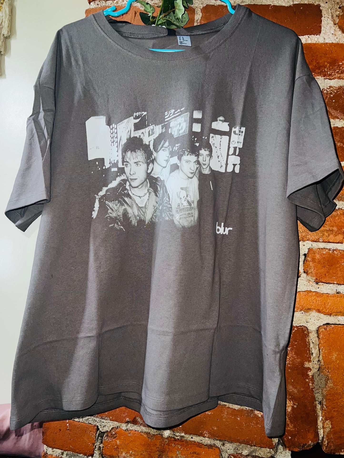Bleached Blur Oversized Distressed Tee
