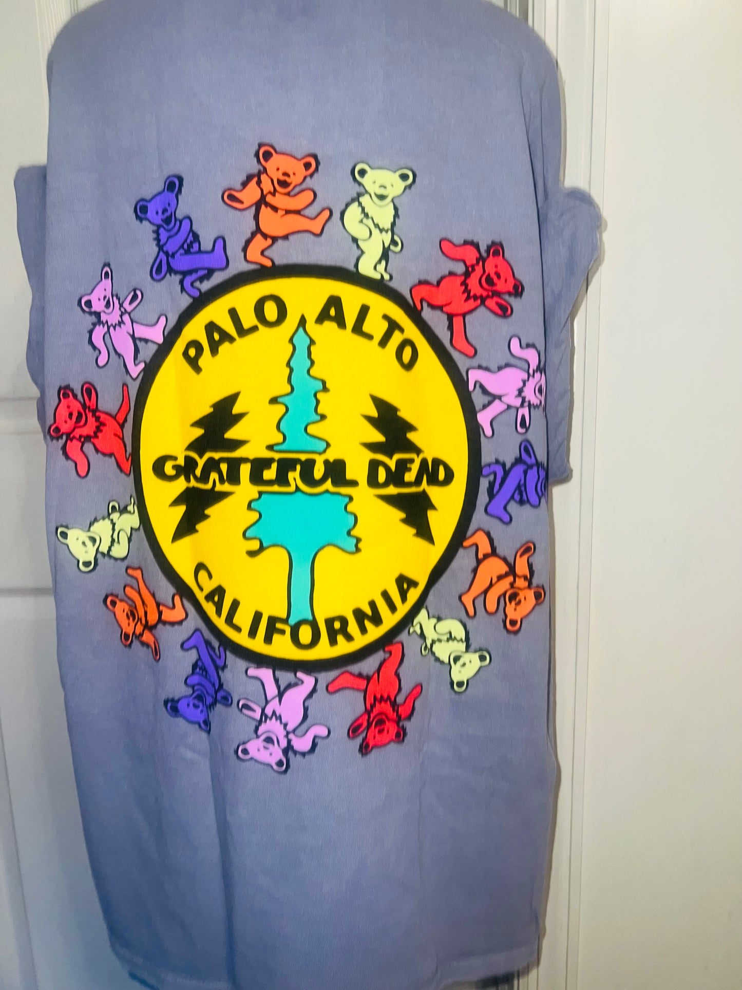 Grateful Dead Double Sided Oversized Tee