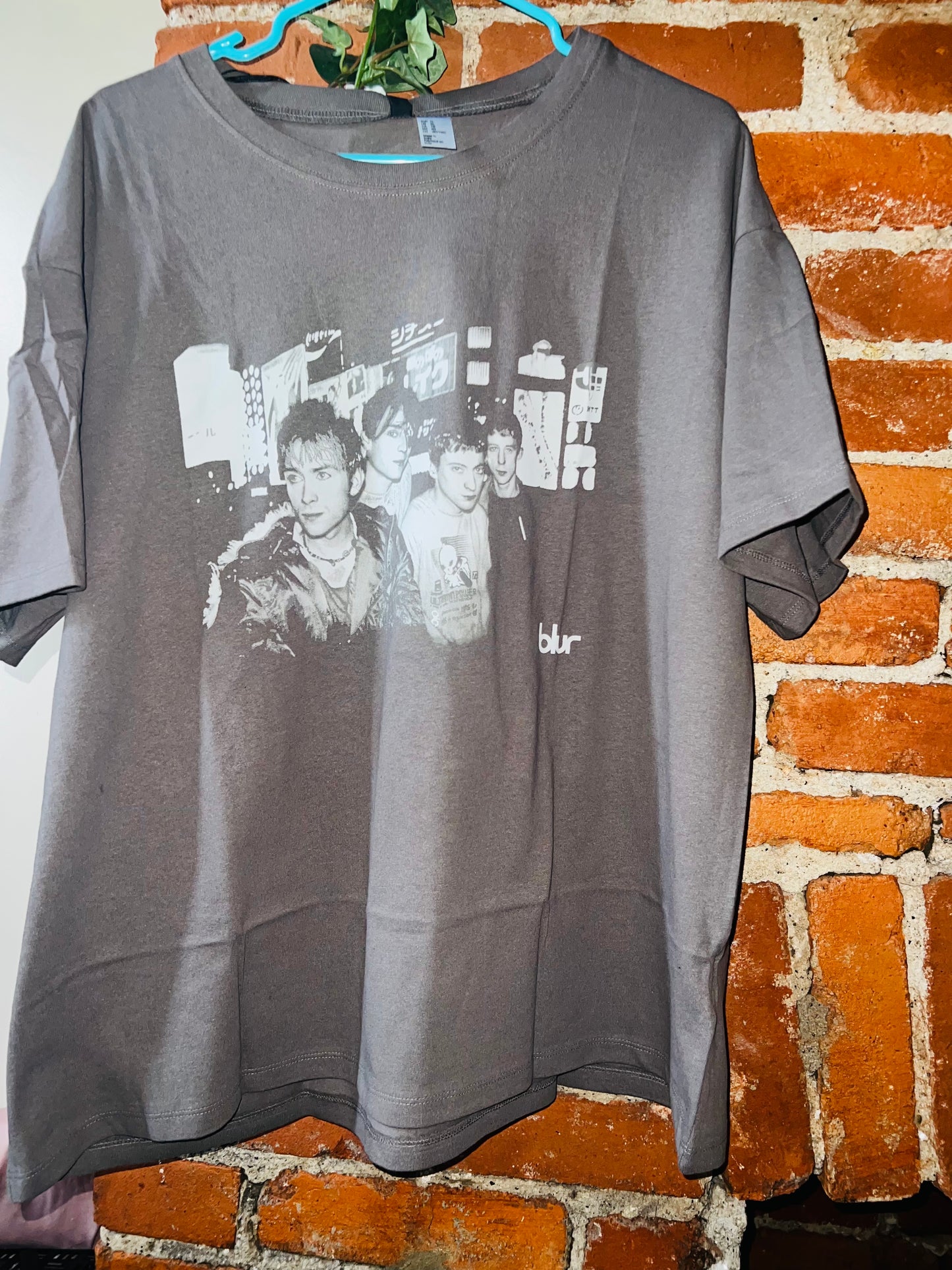 Bleached Blur Oversized Distressed Tee