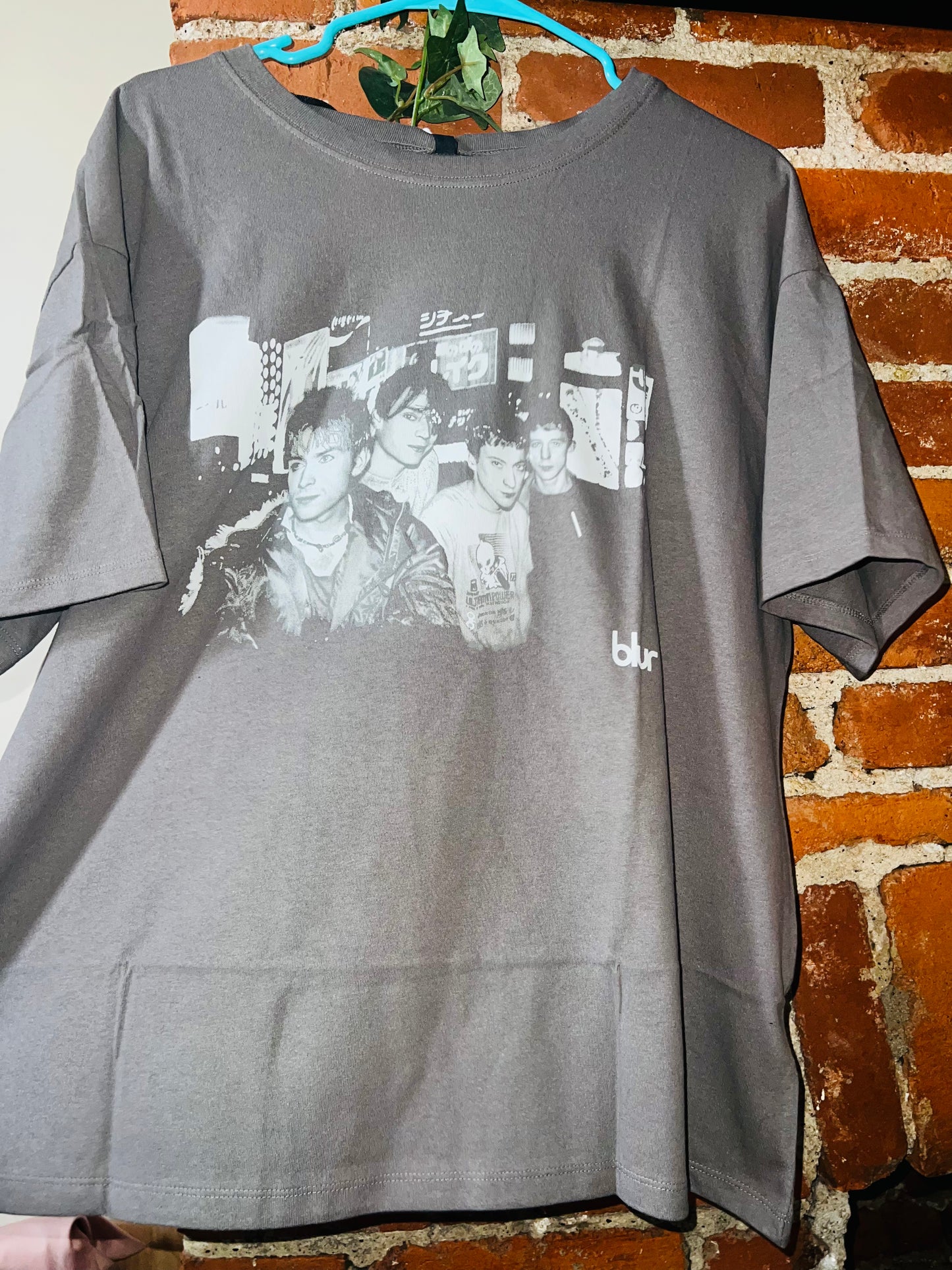 Bleached Blur Oversized Distressed Tee