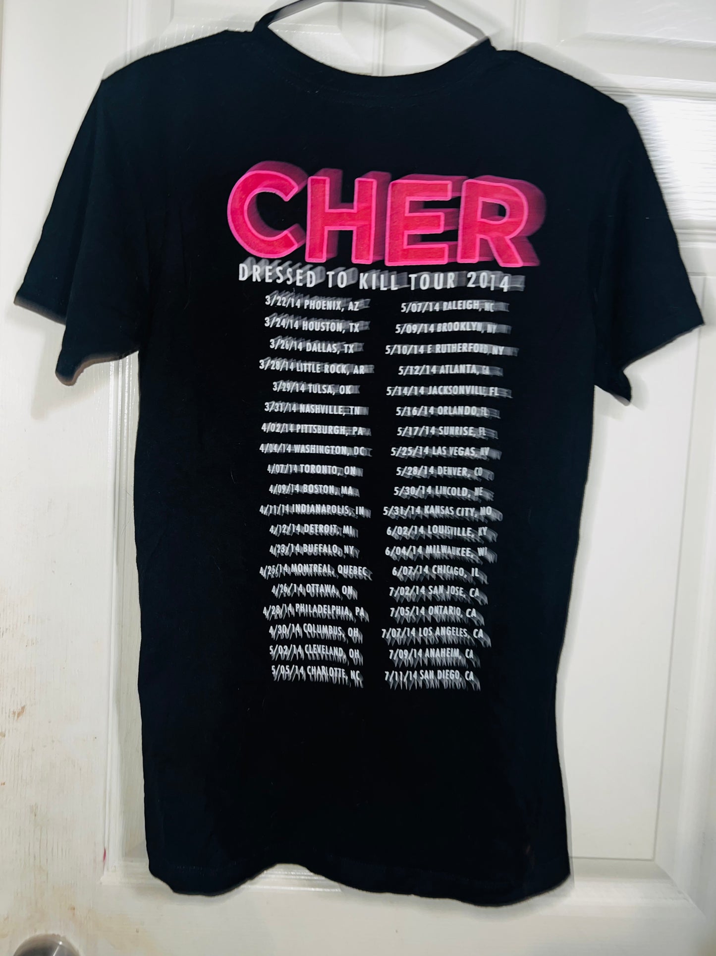 Cher 2014 Vintage Dressed to Kill Tour Distressed Tee