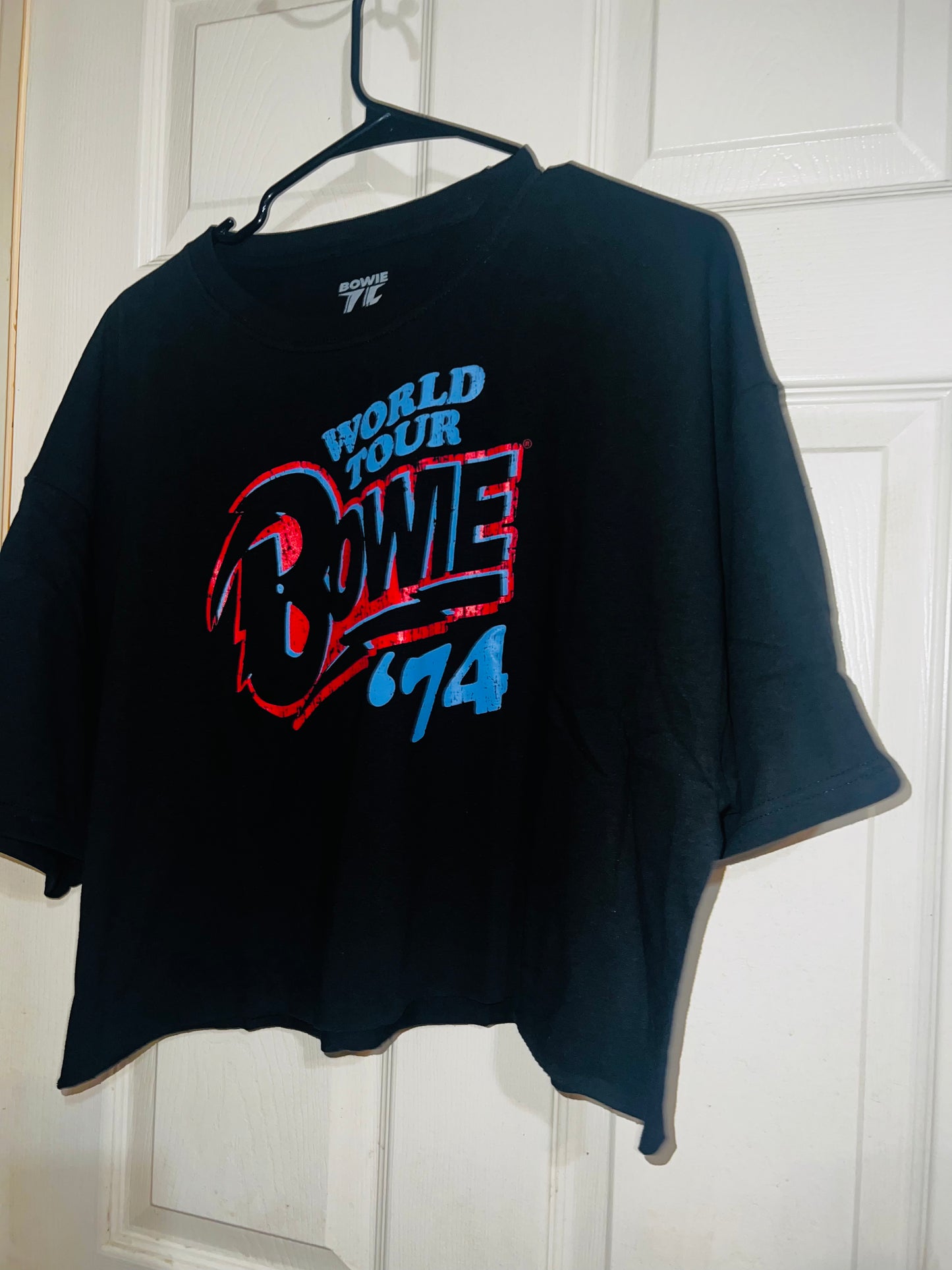 David Bowie 74 Tour Oversized Tee