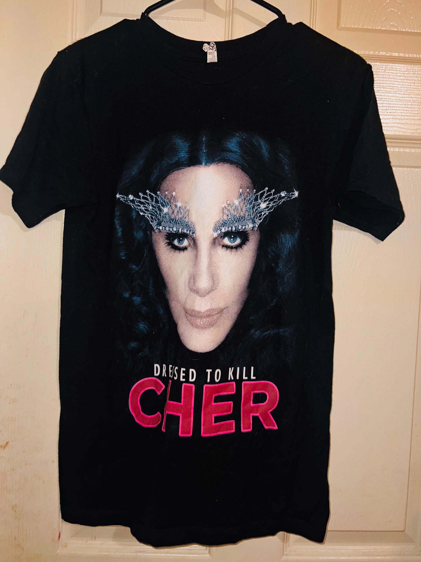 Cher 2014 Vintage Dressed to Kill Tour Distressed Tee
