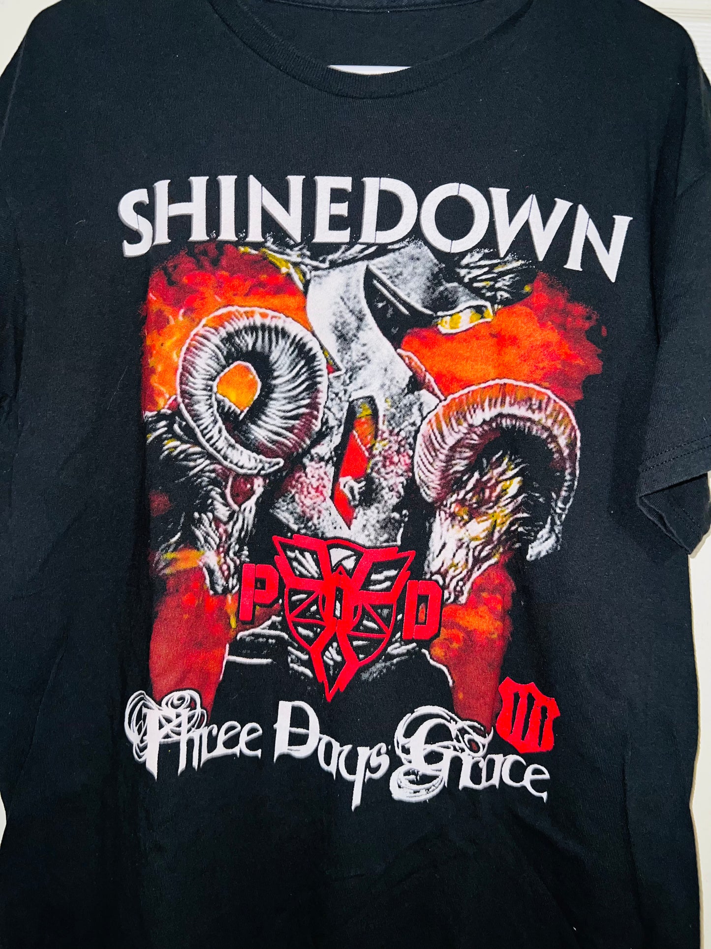 Vintage Shinedown/Three Days Grace Double Sided Oversized Tee