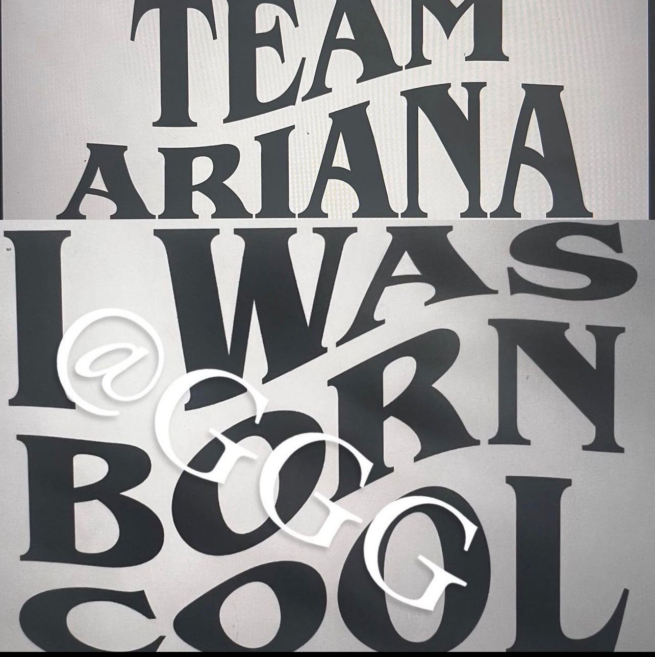Team Ariana Distressed Sweatshirts and Tees