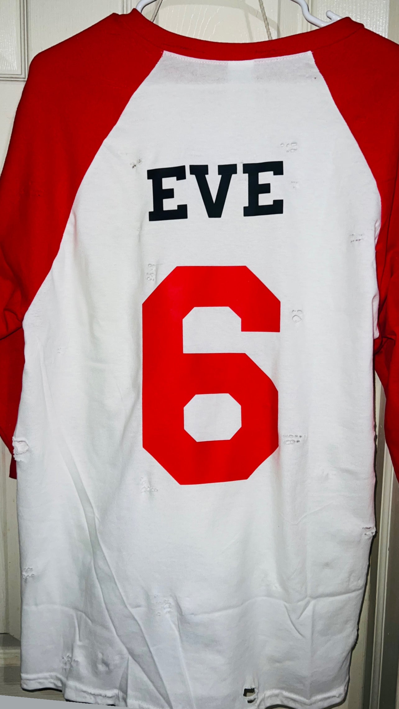 Eve 6 Raglan Distressed Long Sleeve