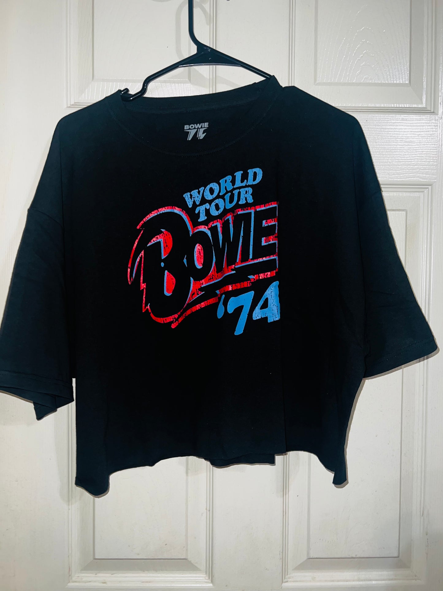 David Bowie 74 Tour Oversized Tee