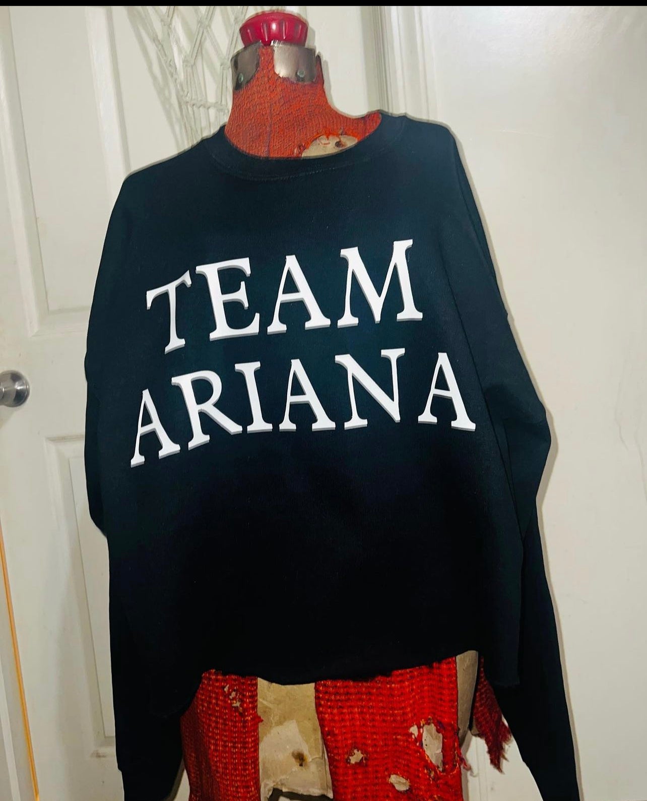 Team Ariana Distressed Sweatshirts and Tees