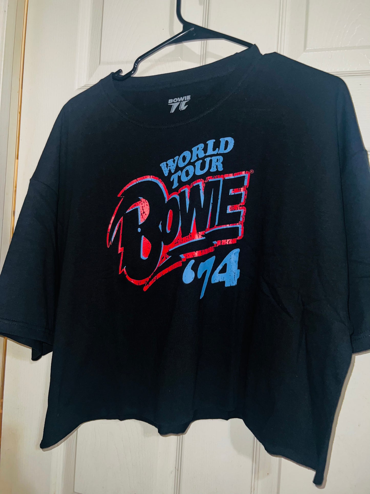 David Bowie 74 Tour Oversized Tee