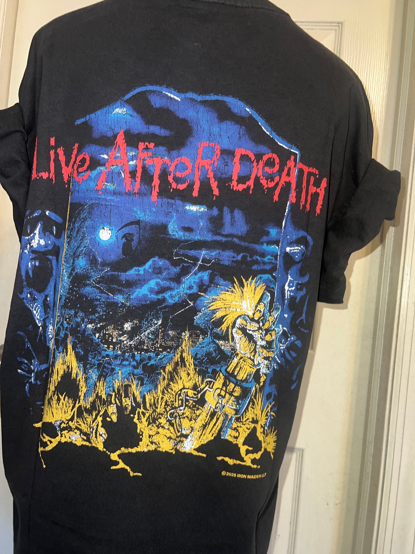 Iron Maiden Double Sided Oversized Distressed Tee