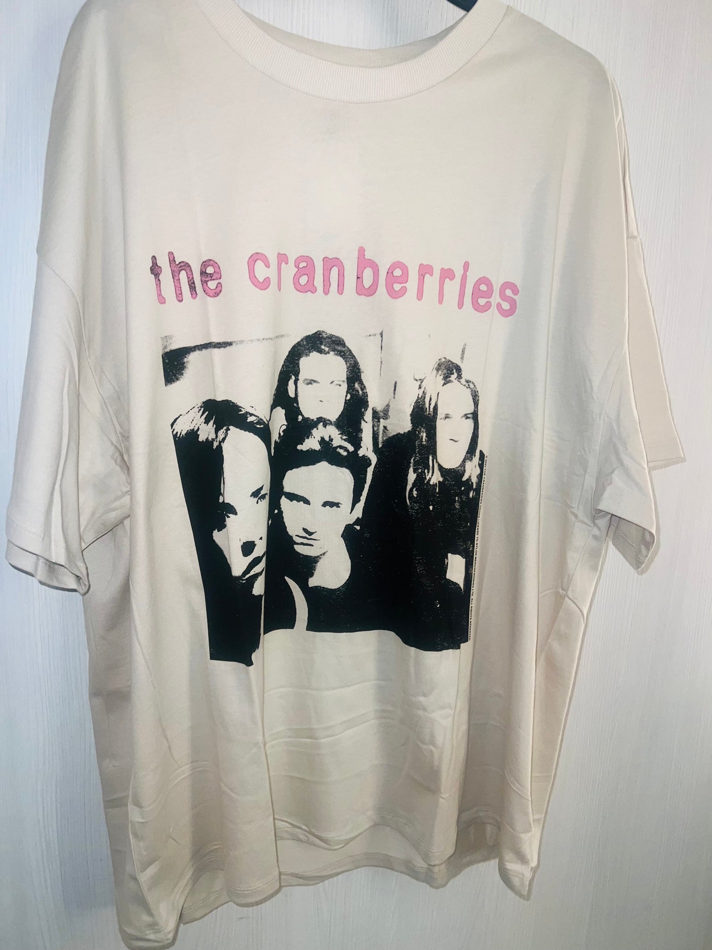 The Cranberries Oversized Distressed Tee