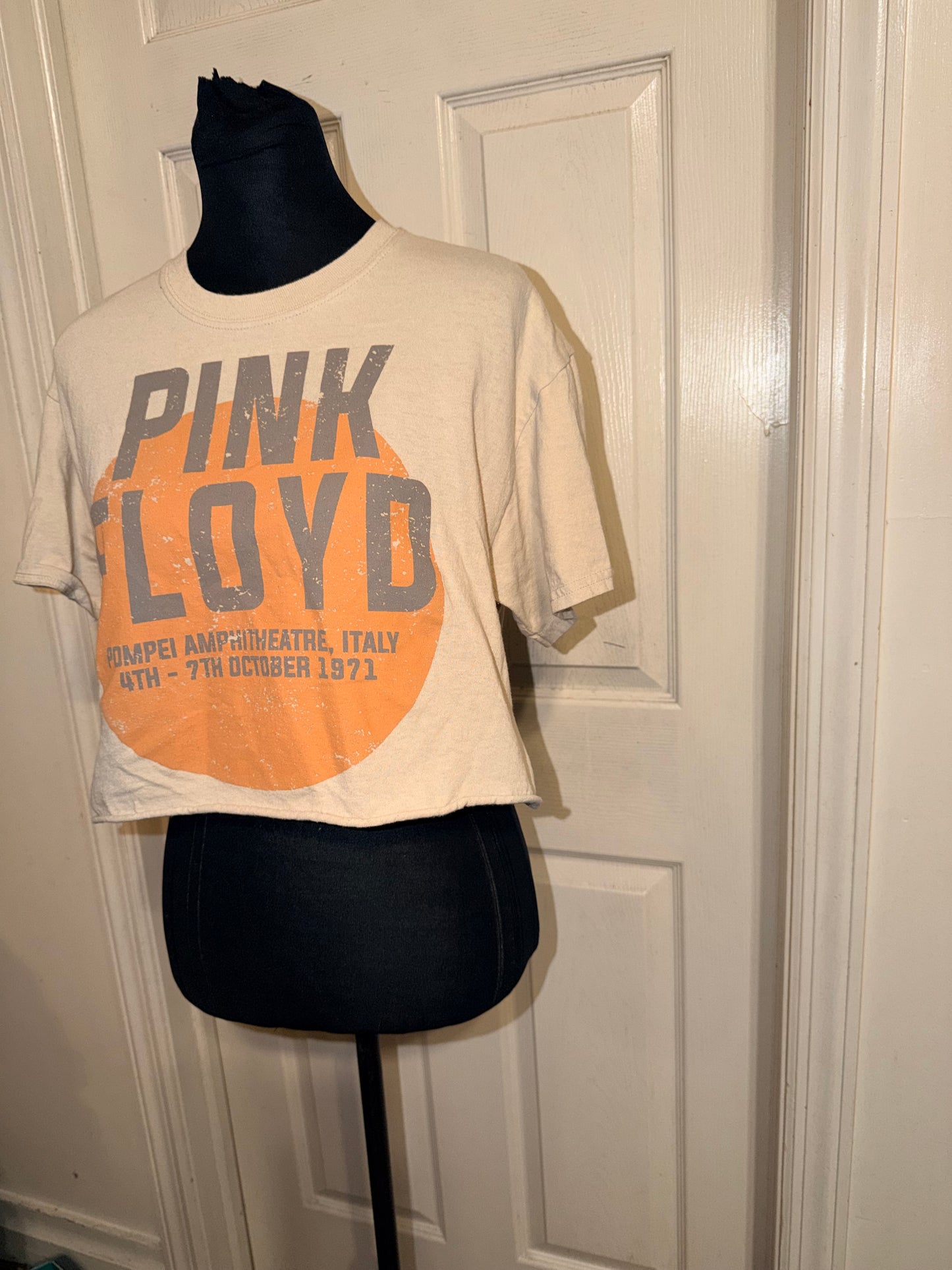Pink Floyd Cropped Tee
