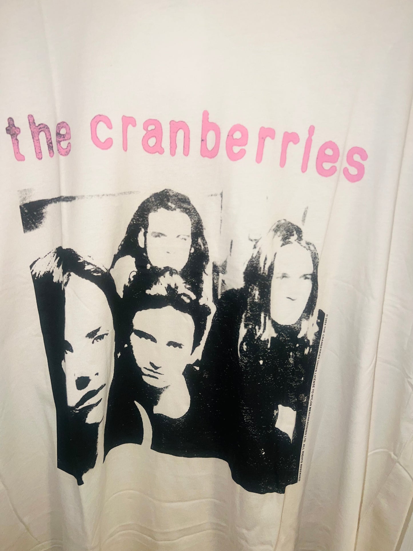 The Cranberries Oversized Distressed Tee