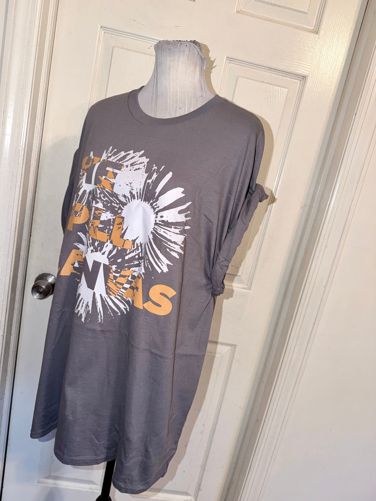 The Spill Canvas Oversized Tee