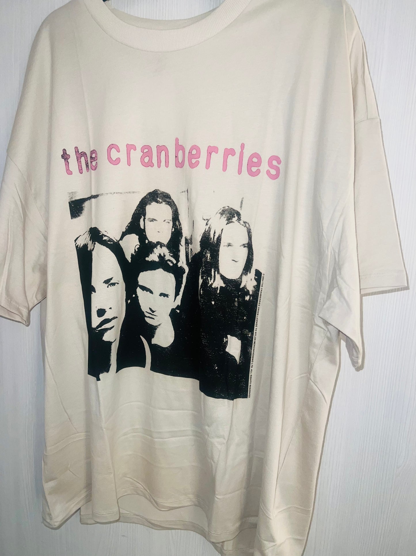 The Cranberries Oversized Distressed Tee