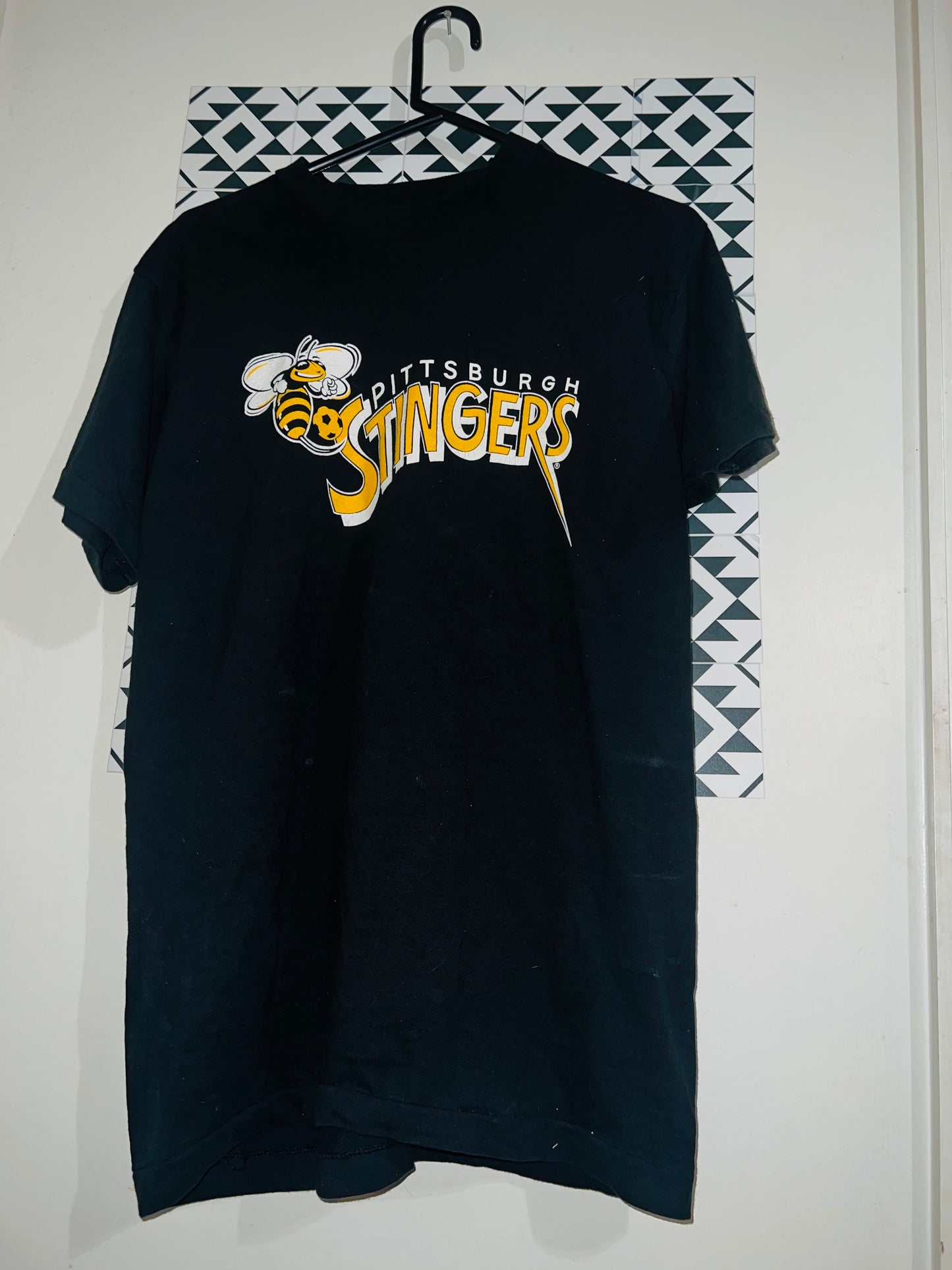 Vintage 94-95 Pittsburgh Stingers Soccer Oversized Distressed Tee
