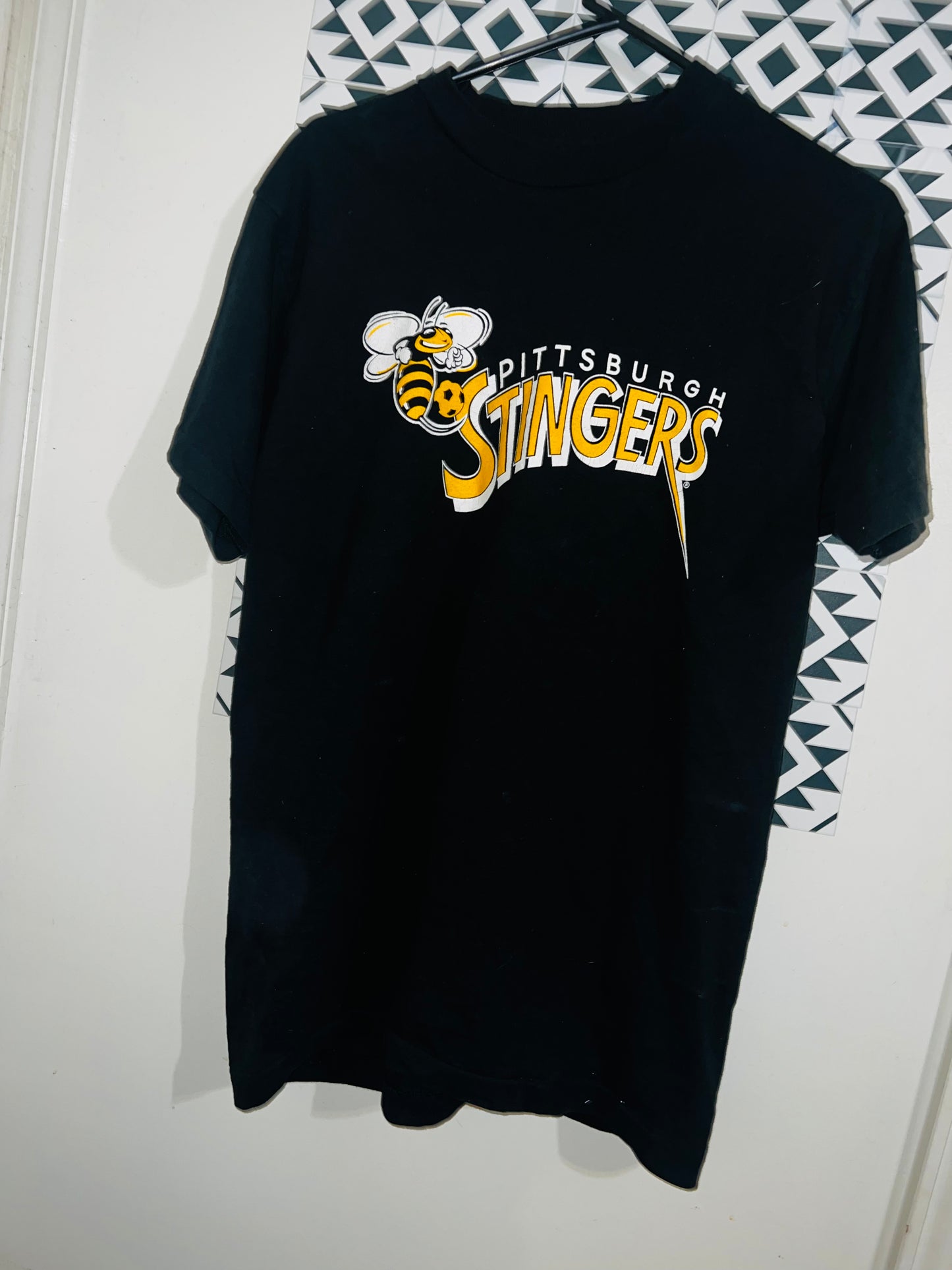 Vintage 94-95 Pittsburgh Stingers Soccer Oversized Distressed Tee
