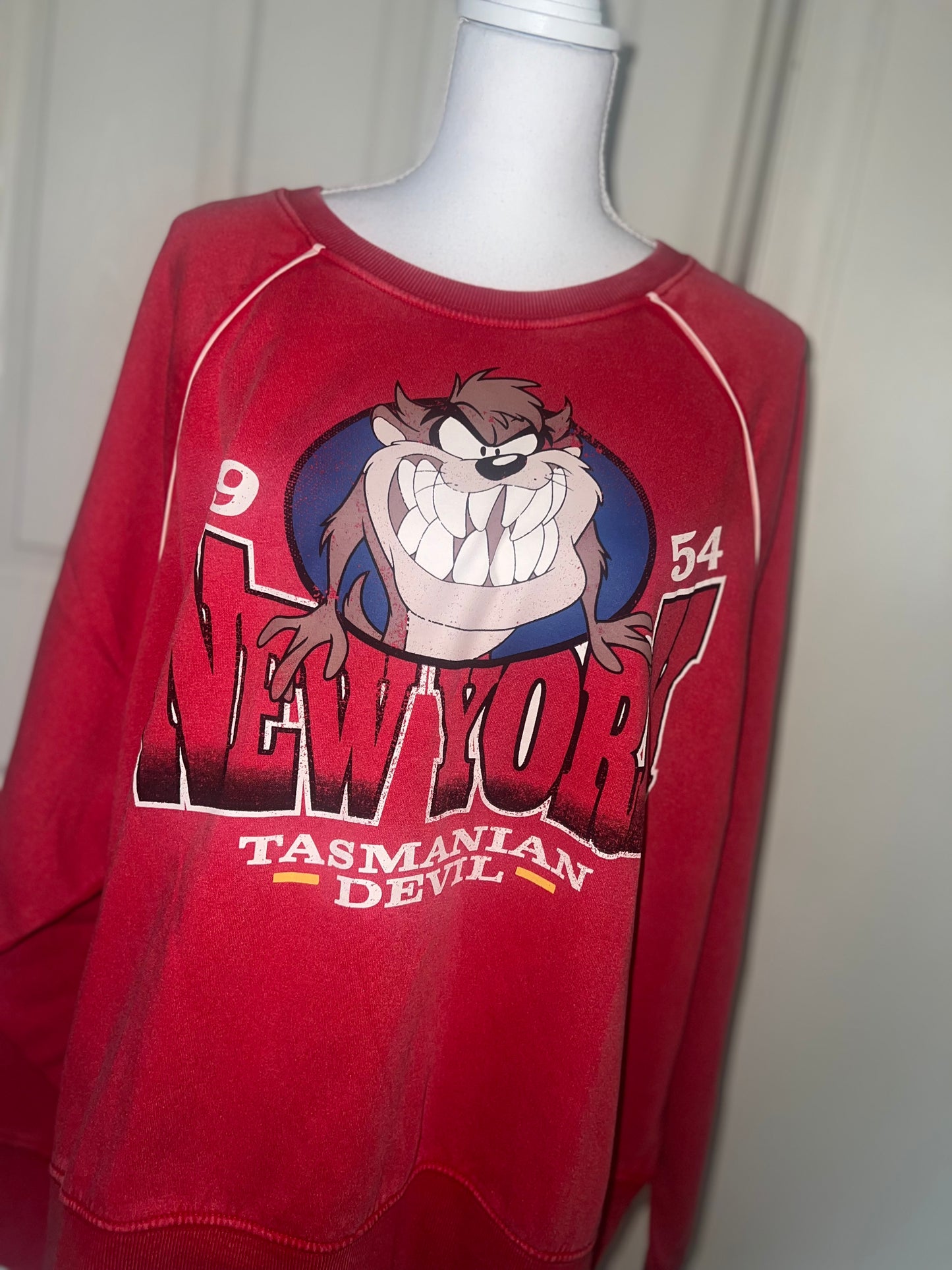 New York Looney Tunes Oversized Sweatshirt