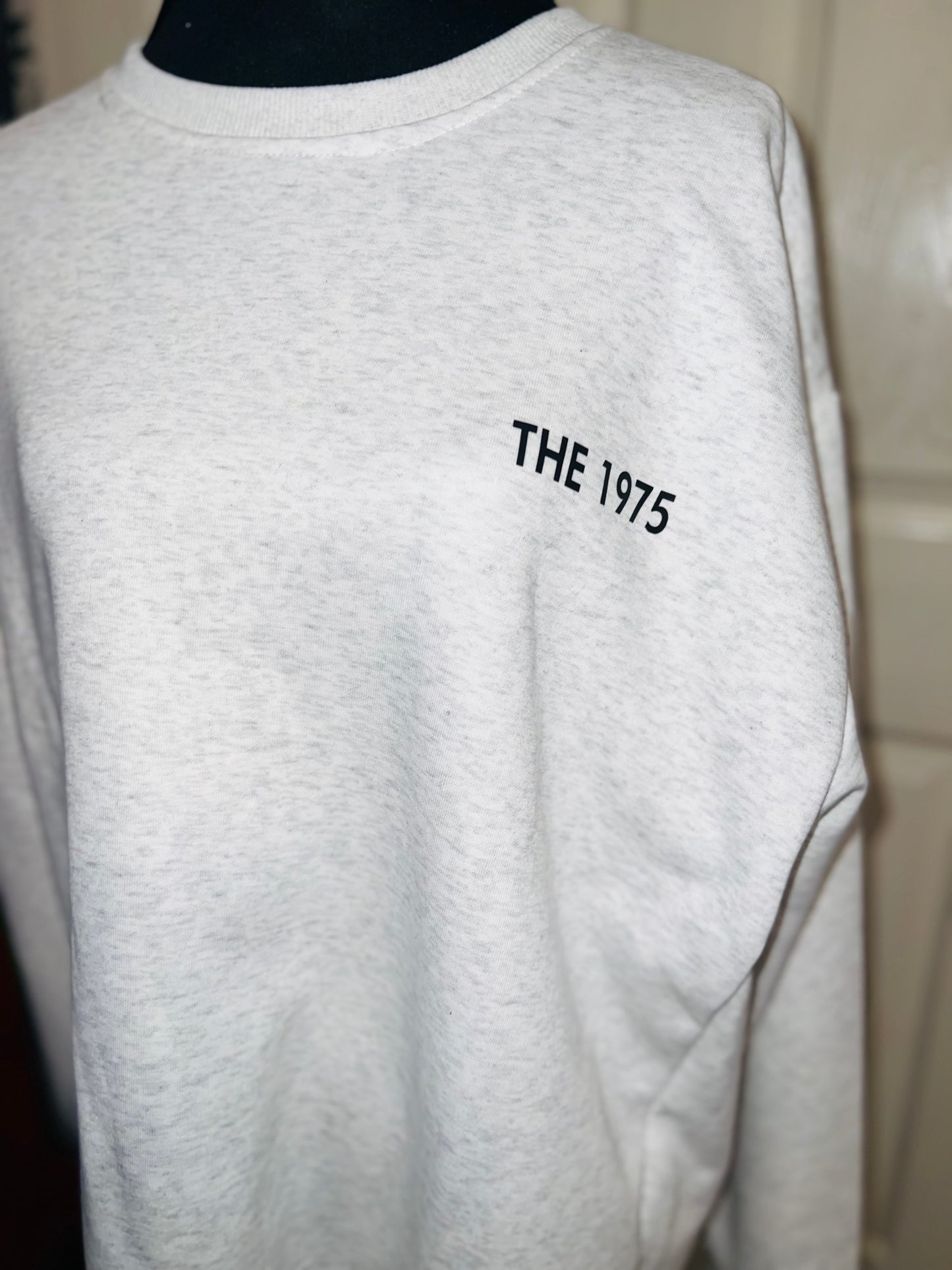 The 1975 ABIIOR Double Sided Oversized Distressed Sweatshirt