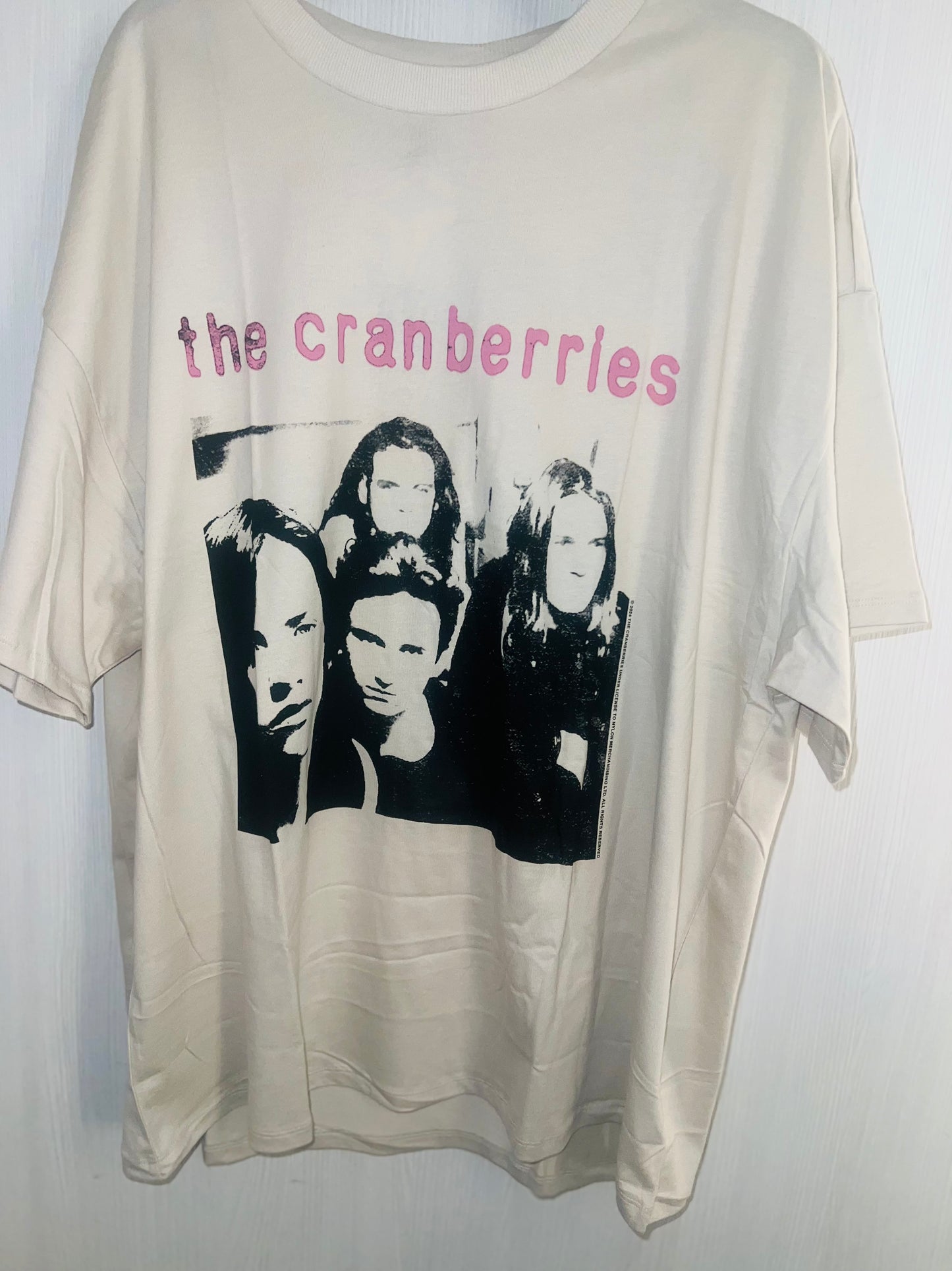 The Cranberries Oversized Distressed Tee