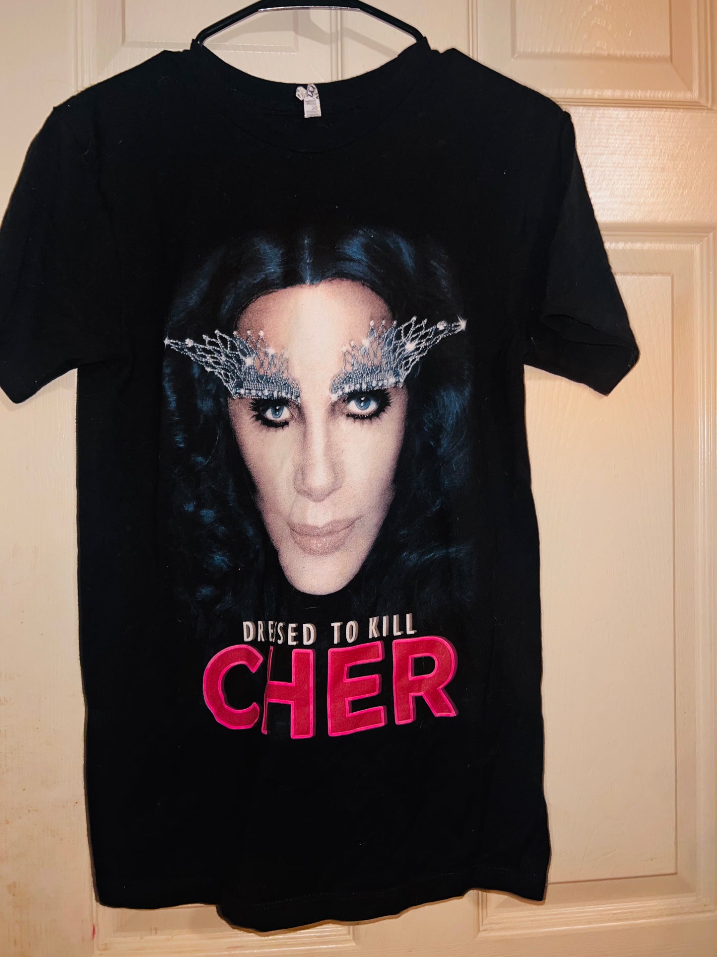 Cher 2014 Vintage Dressed to Kill Tour Distressed Tee
