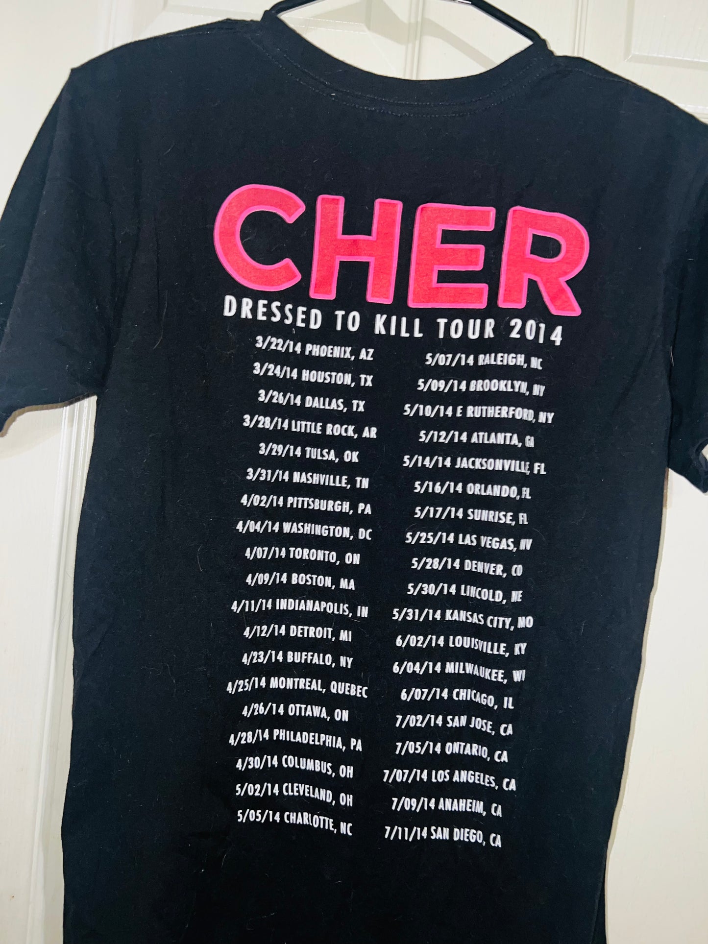 Cher 2014 Vintage Dressed to Kill Tour Distressed Tee