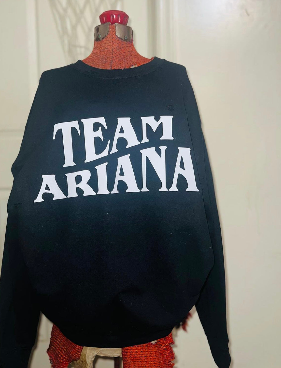 Team Ariana Distressed Sweatshirts and Tees